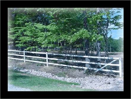 fence.jpg
